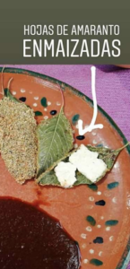 hoja de amaranto