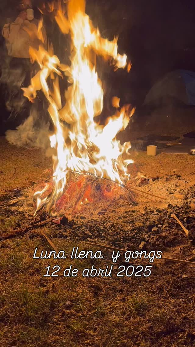 🌕🔥🟠 La luna brillaba muy intensamente mientras los #gongs sonaban y el #fuego ardía, acompañándonos en una sesión nocturna de #sonoterapia. 
•
•