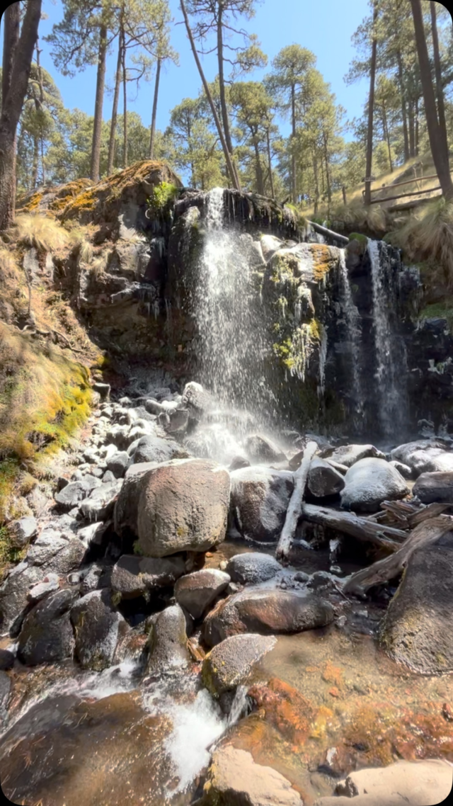 🩵 Agua que proviene del #iztaccíhuatl 
•
•
#cascada #bosque #vida #viajenatura